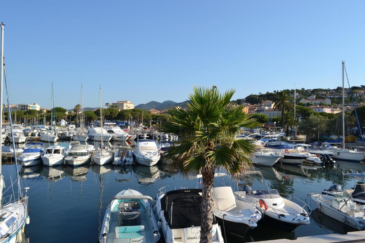 Apartment Superbe Vue A Maxime T2 Climatise *